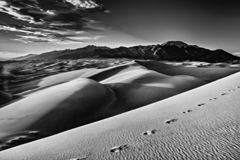 Footsteps in Sand.jpg